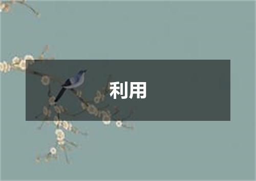 利用