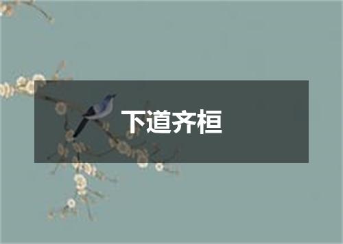 下道齐桓
