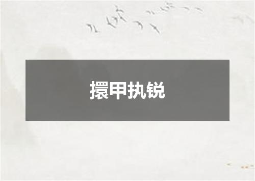 擐甲执锐