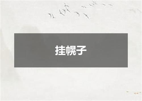 挂幌子