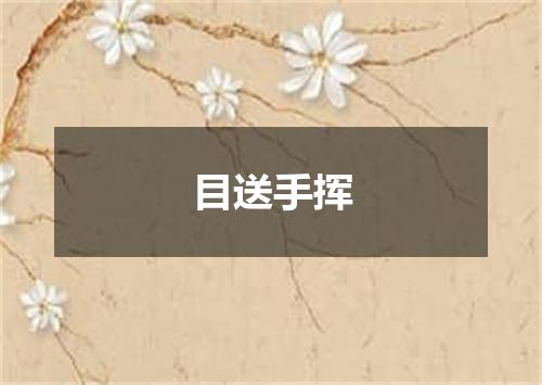 目送手挥