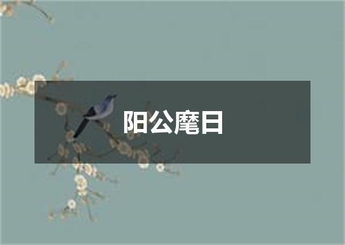 阳公麾日