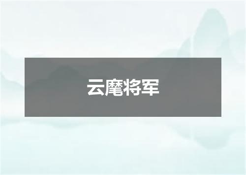 云麾将军