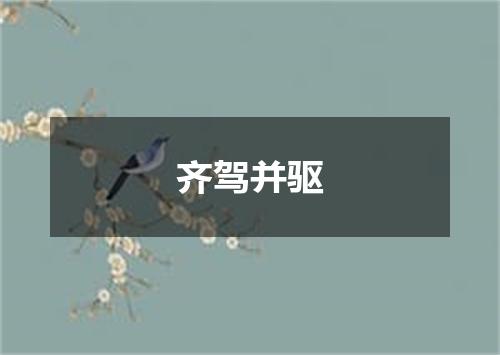 齐驾并驱