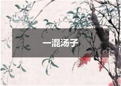 一混汤子