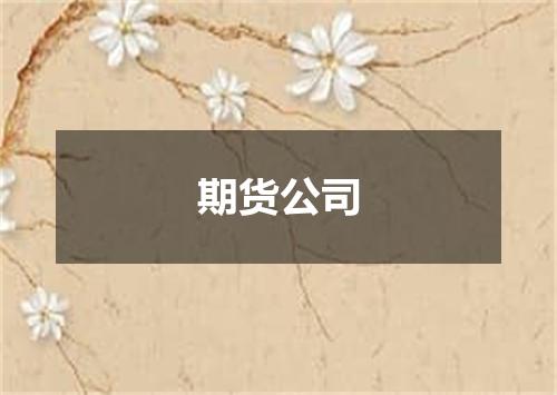 期货公司