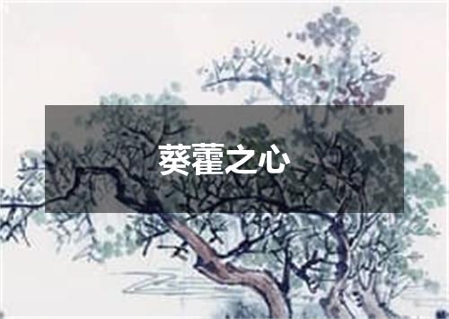 葵藿之心