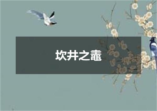 坎井之鼃