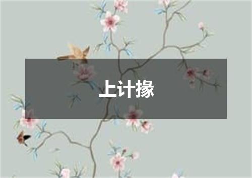 上计掾