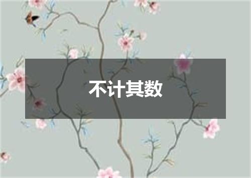 不计其数