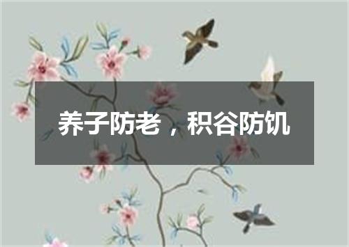 养子防老，积谷防饥