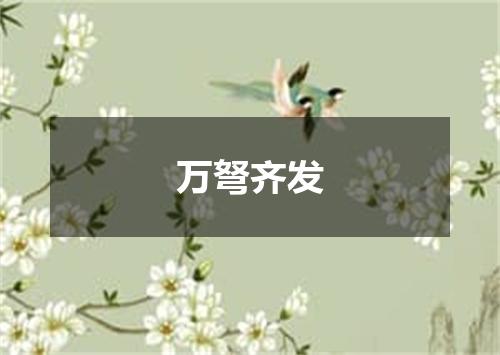 万弩齐发