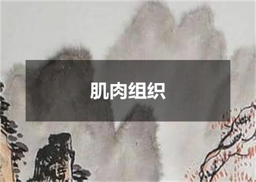 肌肉组织