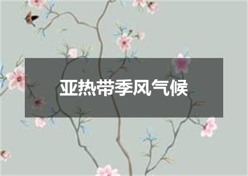 亚热带季风气候