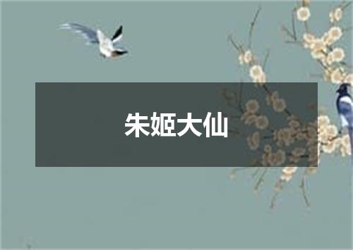 朱姬大仙