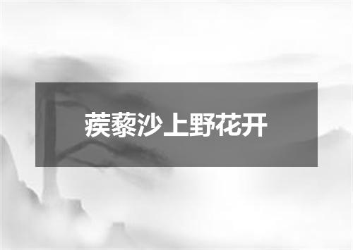蒺藜沙上野花开