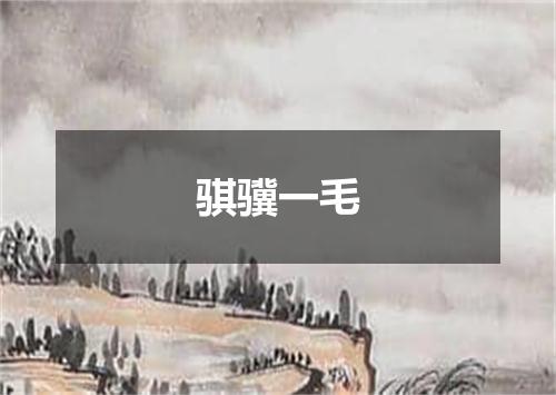 骐骥一毛