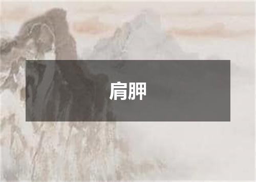 肩胛