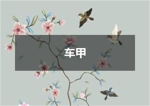车甲