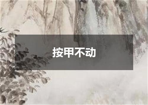 按甲不动