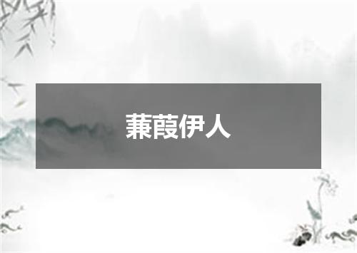 蒹葭伊人