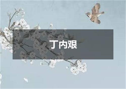 丁内艰
