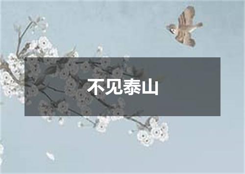 不见泰山