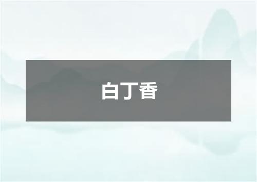 白丁香