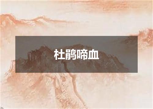 杜鹃啼血