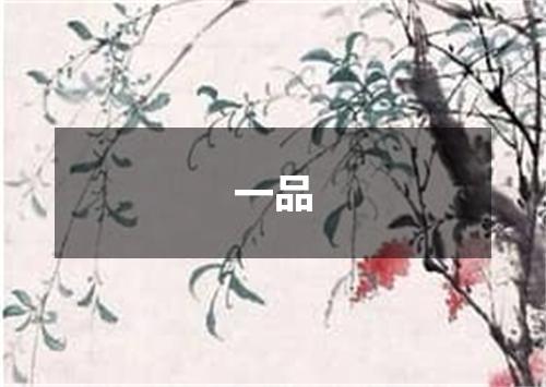 一品