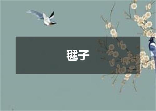 毽子