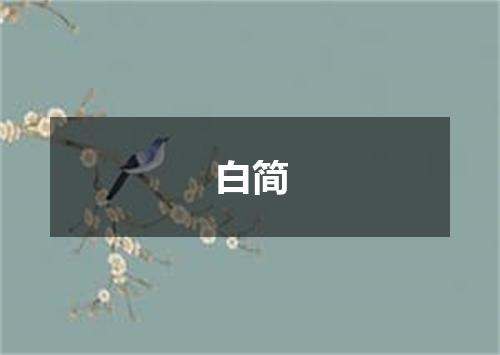 白简