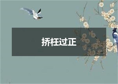 挢枉过正