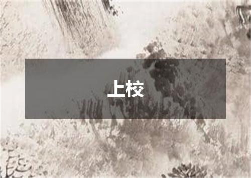 上校