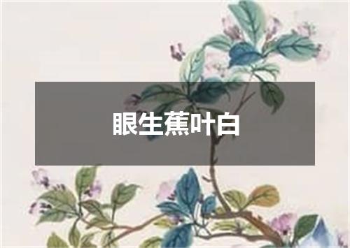 眼生蕉叶白