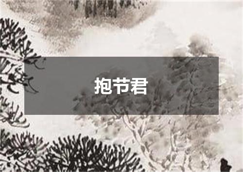 抱节君