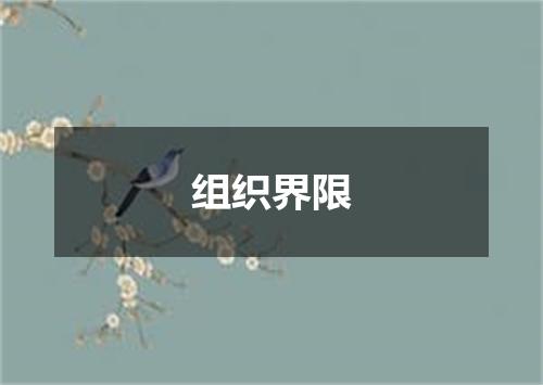 组织界限