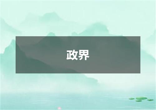 政界