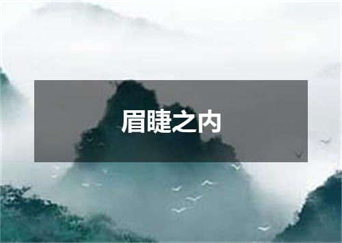 眉睫之内