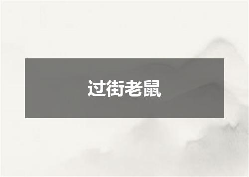 过街老鼠