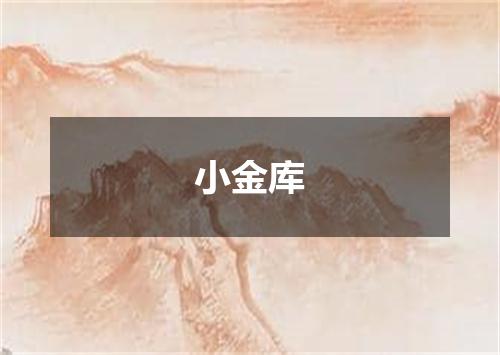 小金库