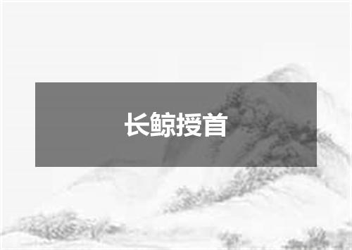 长鲸授首