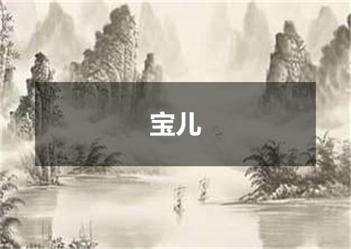 宝儿