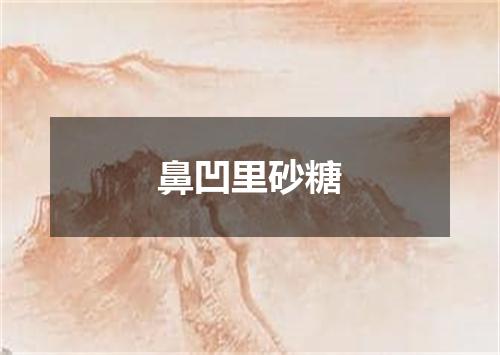 鼻凹里砂糖