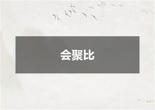 会聚比
