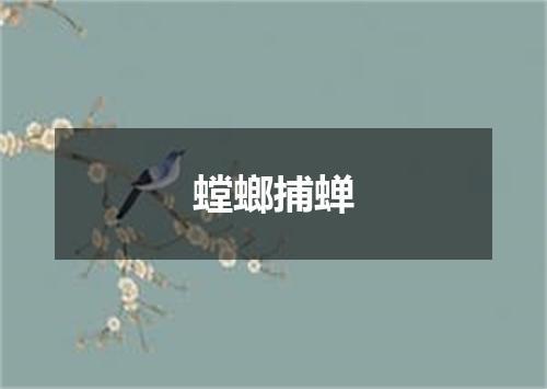 螳螂捕蝉