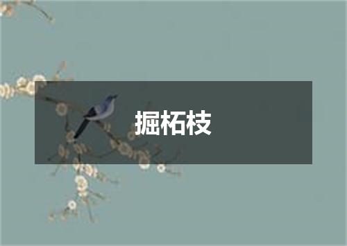 掘柘枝