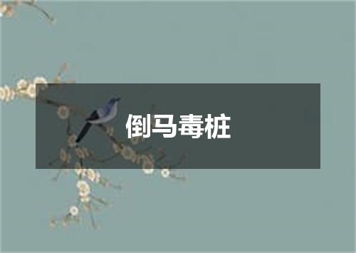 倒马毒桩
