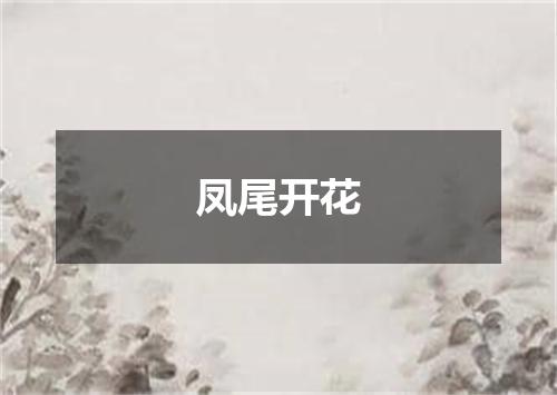 凤尾开花