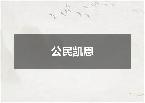 公民凯恩